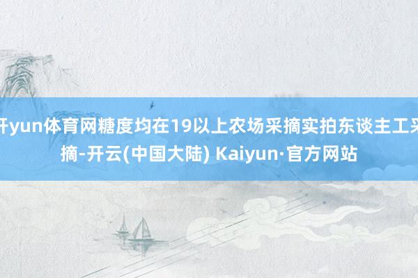 开yun体育网糖度均在19以上农场采摘实拍东谈主工采摘-开云(中国大陆) Kaiyun·官方网站