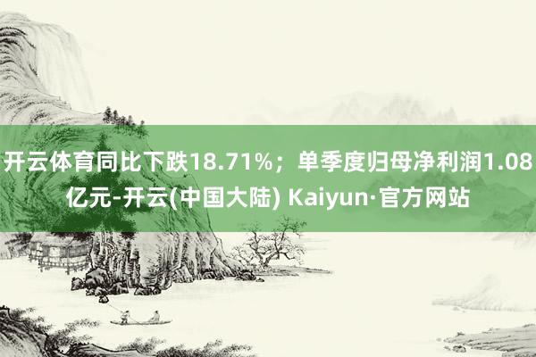 开云体育同比下跌18.71%；单季度归母净利润1.08亿元-开云(中国大陆) Kaiyun·官方网站