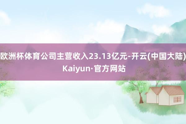 欧洲杯体育公司主营收入23.13亿元-开云(中国大陆) Kaiyun·官方网站