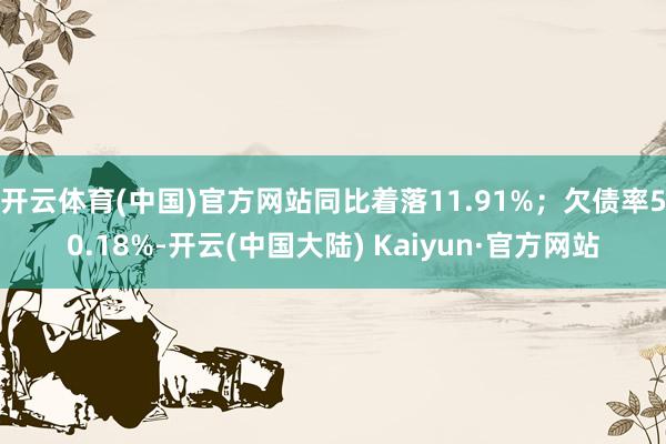 开云体育(中国)官方网站同比着落11.91%；欠债率50.18%-开云(中国大陆) Kaiyun·官方网站