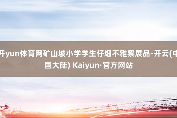 开yun体育网矿山坡小学学生仔细不雅察展品-开云(中国大陆) Kaiyun·官方网站