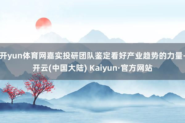 开yun体育网嘉实投研团队鉴定看好产业趋势的力量-开云(中国大陆) Kaiyun·官方网站
