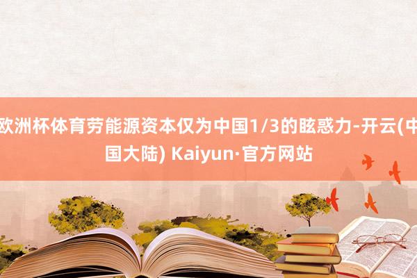 欧洲杯体育劳能源资本仅为中国1/3的眩惑力-开云(中国大陆) Kaiyun·官方网站