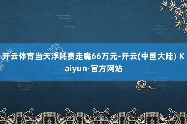 开云体育当天浮耗费走嘴66万元-开云(中国大陆) Kaiyun·官方网站