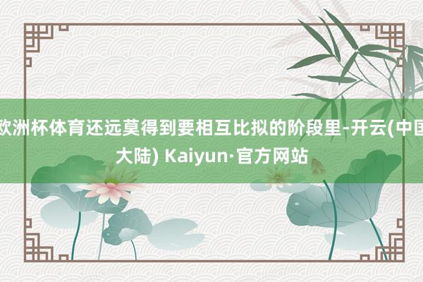 欧洲杯体育还远莫得到要相互比拟的阶段里-开云(中国大陆) Kaiyun·官方网站