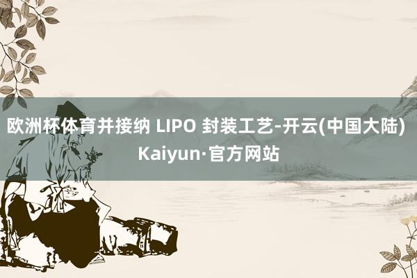 欧洲杯体育并接纳 LIPO 封装工艺-开云(中国大陆) Kaiyun·官方网站
