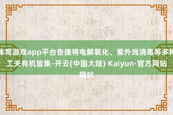 体育游戏app平台告捷将电解氧化、紫外线消毒等多种工夫有机皆集-开云(中国大陆) Kaiyun·官方网站