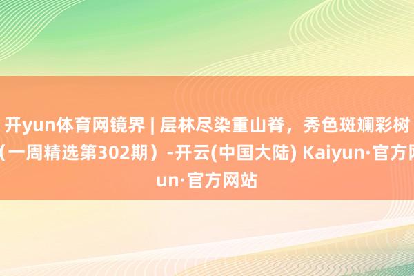 开yun体育网镜界 | 层林尽染重山脊，秀色斑斓彩树丛（一周精选第302期）-开云(中国大陆) Kaiyun·官方网站
