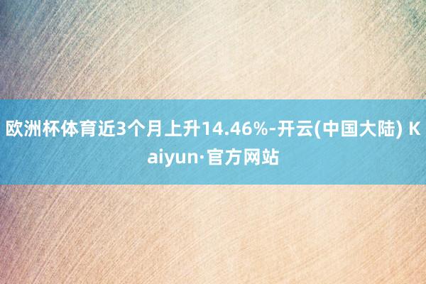 欧洲杯体育近3个月上升14.46%-开云(中国大陆) Kaiyun·官方网站