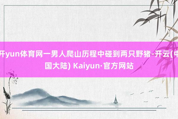 开yun体育网一男人爬山历程中碰到两只野猪-开云(中国大陆) Kaiyun·官方网站