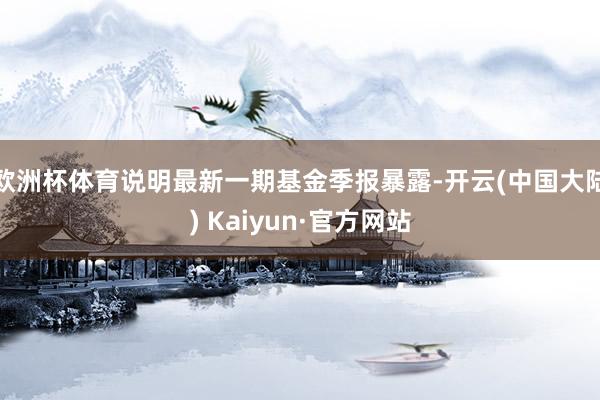 欧洲杯体育说明最新一期基金季报暴露-开云(中国大陆) Kaiyun·官方网站